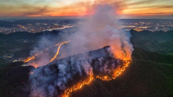 佛山律师解读贵州山火事件